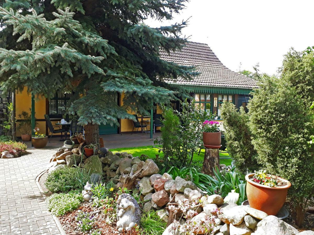 Pension Zum Weissen Hirsch Reitwein Exterior photo
